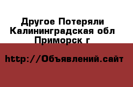 Другое Потеряли. Калининградская обл.,Приморск г.